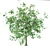 Youthful Oak: 3D Model with High Polygon Count 3D model small image 7