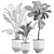 Tropical Plant Collection: Exotic Banana Palm, Ravenala, Strelitzia in Grey Vases 3D model small image 5