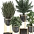 Tropical Plant Collection in Black Pots 3D model small image 4