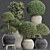 Exotic Houseplants Collection 3D model small image 5