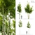 Tropical Elegance: Four Bamboo Trees 3D model small image 1