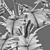 Lush Philodendron Plant 3D Model 3D model small image 4