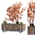 Natural Greenery Box Set - Tree 031 3D model small image 2