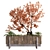 Natural Greenery Box Set - Tree 031 3D model small image 5