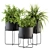 Stylish Black Box Plants Stand 3D model small image 1