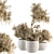 Natural Beauty: Dry Indoor Plant Set 3D model small image 1