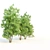 Amur Cluster Tree Bundle 3D model small image 2