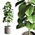 Sleek Indoor Plant Decoration 3D model small image 1