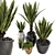 Rustic Concrete Pot with Outdoor Plants - Set of 50 3D model small image 1