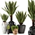 Rustic Concrete Pot with Outdoor Plants - Set of 50 3D model small image 2