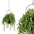 GreenLife Hanging Box - Indoor Set 3D model small image 2