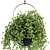 GreenLife Hanging Box - Indoor Set 3D model small image 3