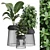 Modern Indoor Plant: 17th Edition 3D model small image 1