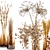 7-Piece Dried Indoor Plant Bouquet 3D model small image 3