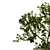 Nature's Haven Tree Box Set 3D model small image 4