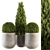 Stylish Outdoor Plants - Set 143 3D model small image 1