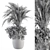 Exotic Indoor Plant Set 162 3D model small image 5