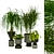 Green Oasis: Indoor Plants Set 3D model small image 1