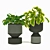 Green Oasis: Indoor Plants Set 3D model small image 2