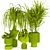 Green Oasis: Indoor Plants Set 3D model small image 3