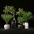 Decorative Indoor Plant Collection 3D model small image 2