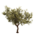 Giant Tree 3D Model: High-quality, Versatile Design 3D model small image 3