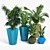 Siro Modern Planter: Stylish Design for Indoor or Outdoor Use 3D model small image 3