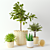 Stylish KAFFEBÖNA Plant Pot Set 3D model small image 1