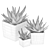 Botanical Bliss: Vol. 89 Plant Collection 3D model small image 3