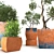 Indoor Plant Collection: Stylish and Versatile 3D model small image 2