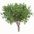Camphor Tree Set with Tree Grill 3D model small image 2