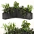 Outdoor Garden Plant Trio 3D model small image 1