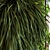 Vertical Greenery Set 037 3D model small image 3