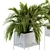 Exquisite Indoor Plant Set 3D model small image 4