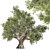  Elegant Olive Tree Sculpture 3D model small image 1