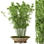 Rustic Bamboo Outdoor Plants - Set 56 3D model small image 1