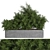 Concrete Box Outdoor Tree - Versatile Interior/Exterior Accent 3D model small image 1