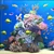 Title: Oceanic Delight Seawater Aquarium 3D model small image 4