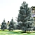 Norway Blue Spruce: Vray Material, 3.5m-6.5m Height 3D model small image 2