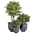 Stunning Outdoor Plant: 08 3D model small image 1