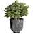 Stunning Outdoor Plant: 08 3D model small image 3