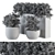 Botanical Bliss: Indoor Plant Set 3D model small image 5