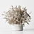 Elegant Dried Floral Arrangement 3D model small image 1