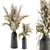 Elegant Pampas: Dry Plants & Black Vase 3D model small image 1