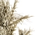 Elegant Pampas: Dry Plants & Black Vase 3D model small image 3