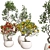 Colorful Bonsai Set for Stylish Interiors 3D model small image 2