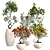 Colorful Bonsai Set for Stylish Interiors 3D model small image 3