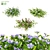 Compact Periwinkle Bushes | Vinca Minor 3D model small image 1