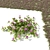 Compact Periwinkle Bushes | Vinca Minor 3D model small image 2