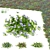 Compact Periwinkle Bushes | Vinca Minor 3D model small image 6